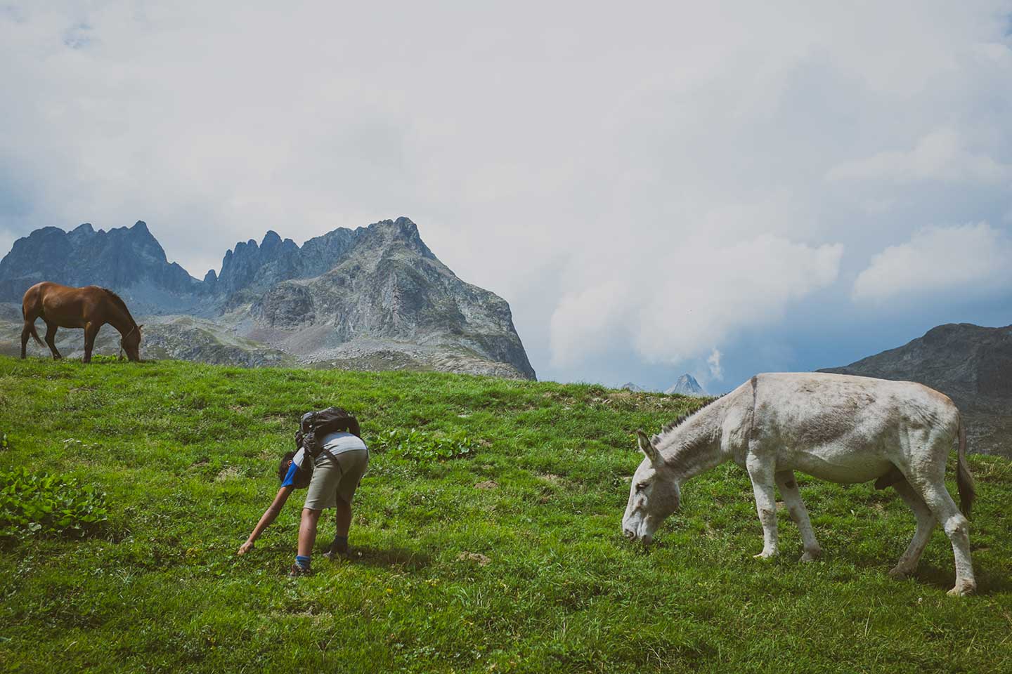 Schralp In The Alps