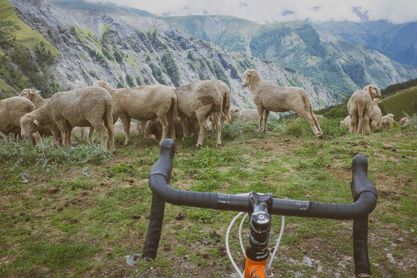 Schralp In The Alps