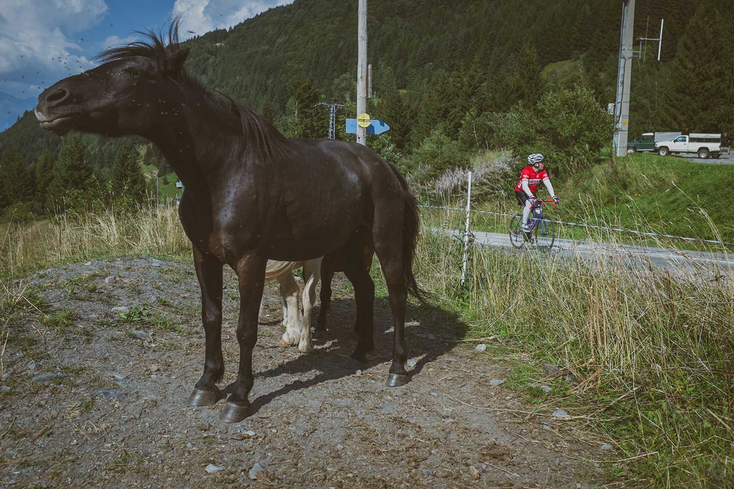 Schralp In The Alps