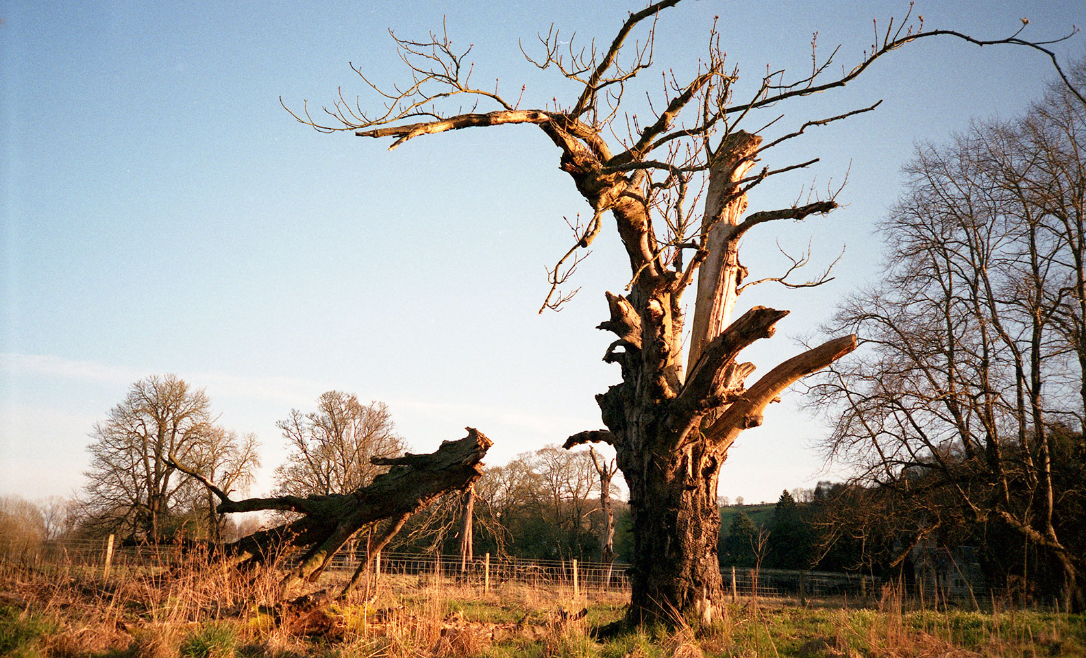 Passing Place