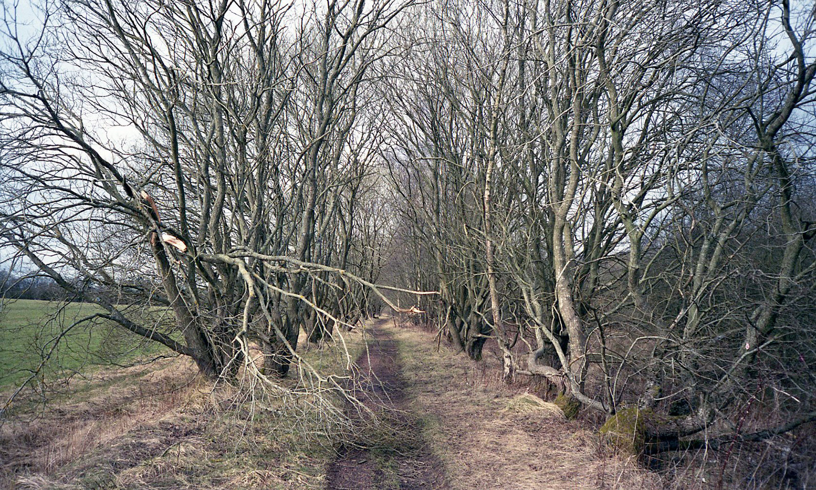 Passing Place